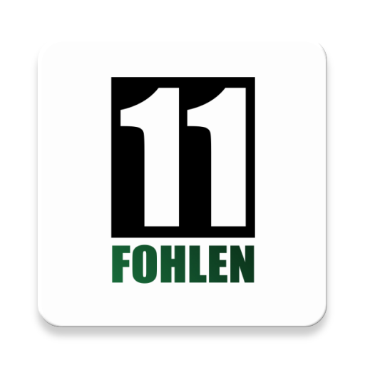 11 Fohlen