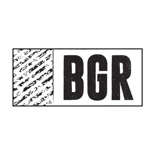 BGR - The Burger Joint