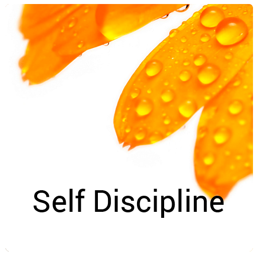 Self Discipline Affirmations