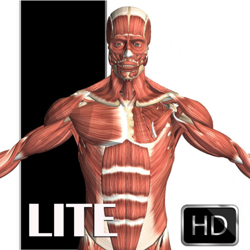 Visual Anatomy Lite