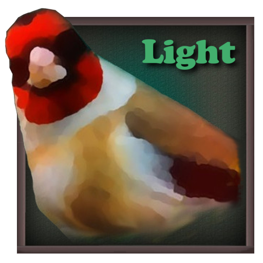 Birdquiz Light