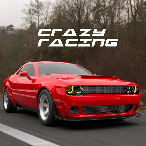 Fast Car Racing Driving Sim