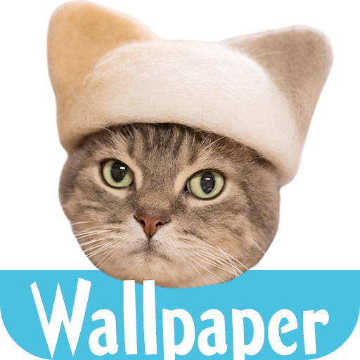 Wallpaper: Cats' Hair Hats