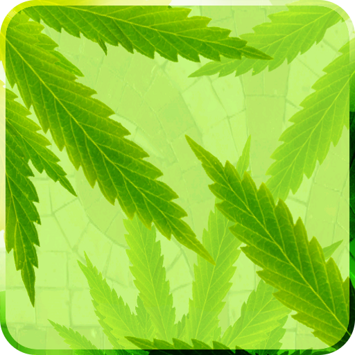 MaryJane Free Live Wallpaper