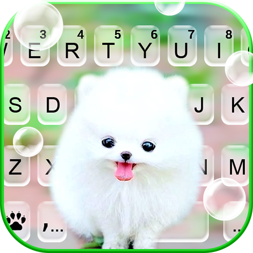 Fluffy Cute Dog Theme