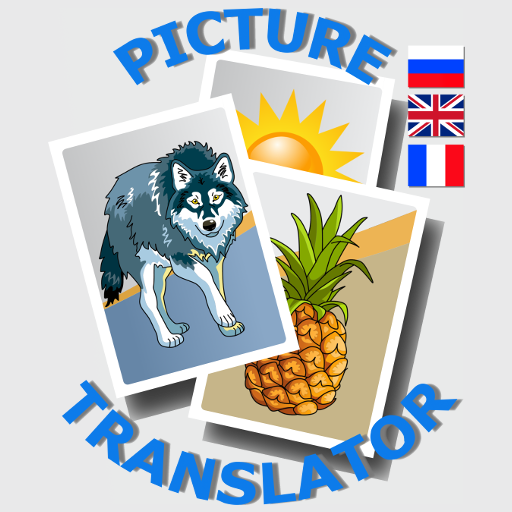 Picture translator russian, english, france