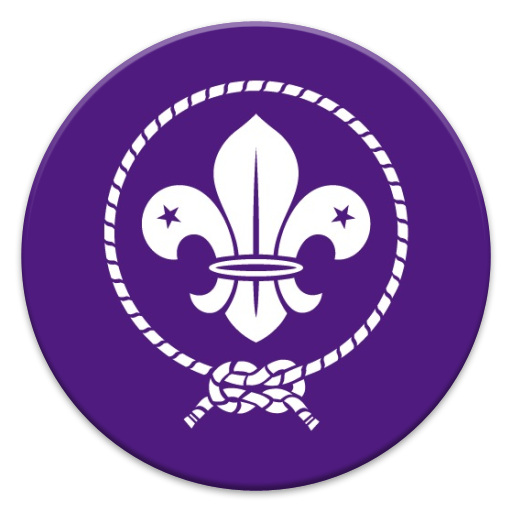 SCOUTS