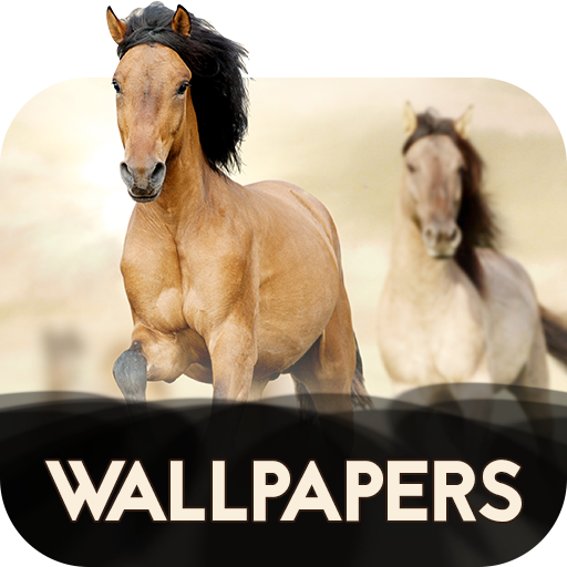 Wallpapers with Horses in 4K