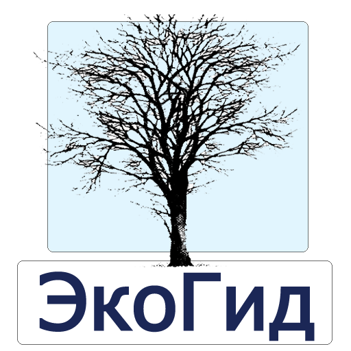 ЭкоГид: Деревья зимой - старая версия