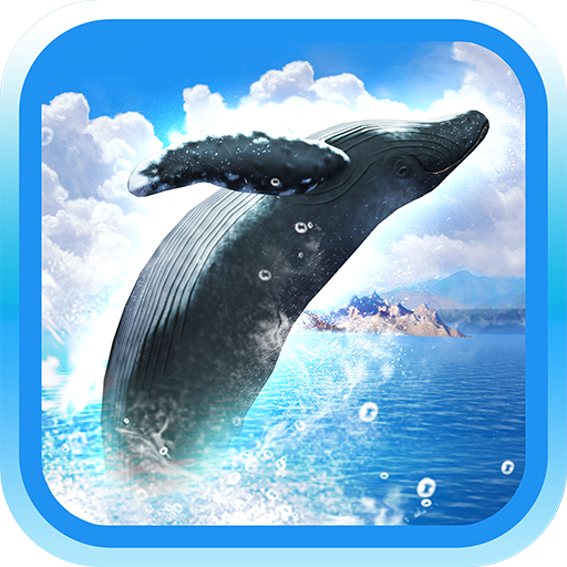 REAL WHALES Find the cetacean!