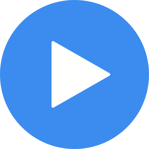 MX Player Codec (ARMv6 VFP)