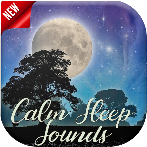 Calm Sleep Sounds