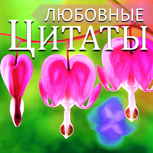 Russian Love Messages & Quotes