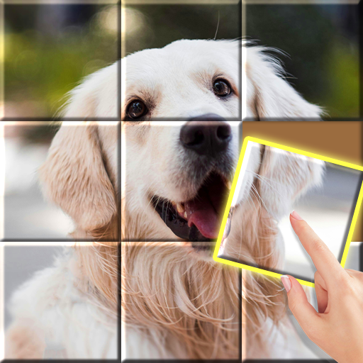 Jigsaw Sort: Jigsaw HD · Kids