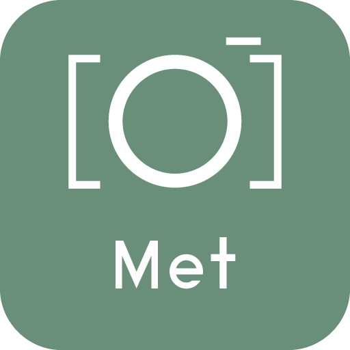 MET Guide & Tours