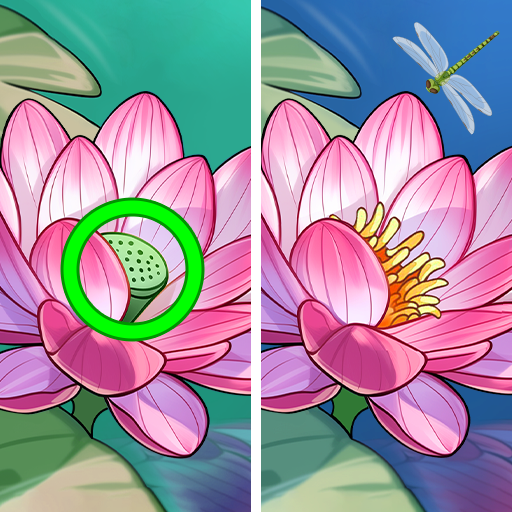 Find Zen: Find Difference Spot