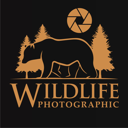 Wildlife Photographic Magazine