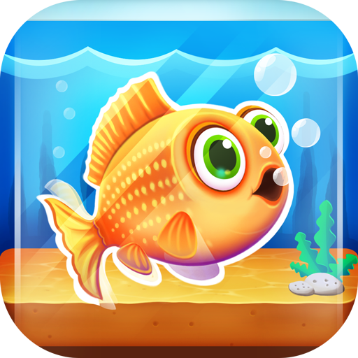 Fish Aquarium: Care & Decorate