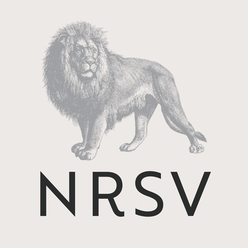 NRSV: Audio Bible for Everyone