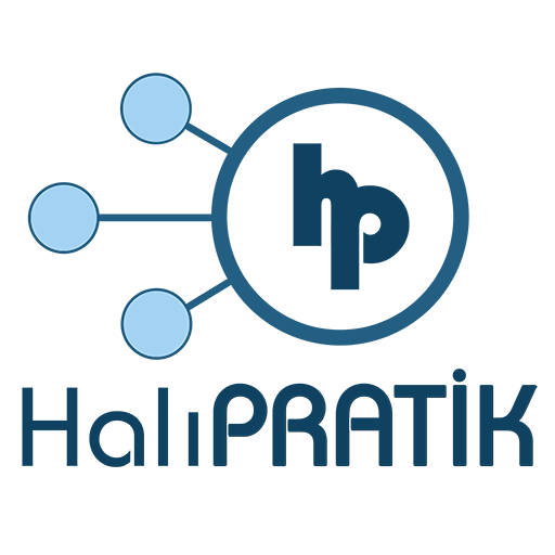 Halipratik Ver:1 / Halı Yıkama Programı