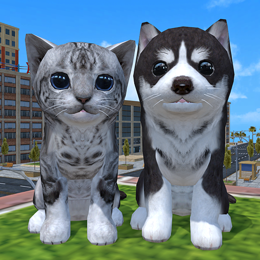 Cute Cat And Puppy World