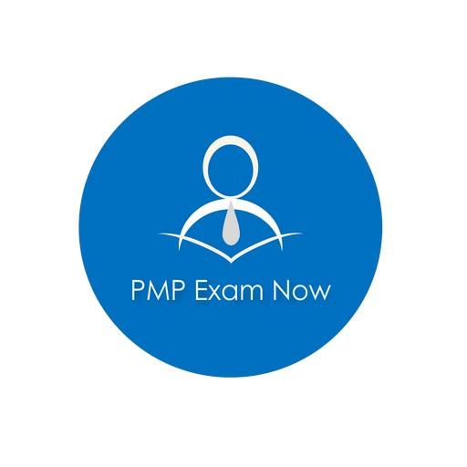 PMP Exam Now - Project Management Simulation