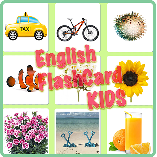 English Flash Card Kids