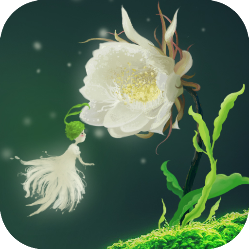 Cactus Flower Live Wallpaper