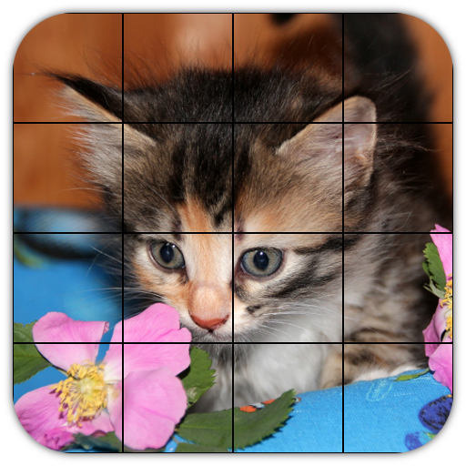 Tile Puzzles · Kittens