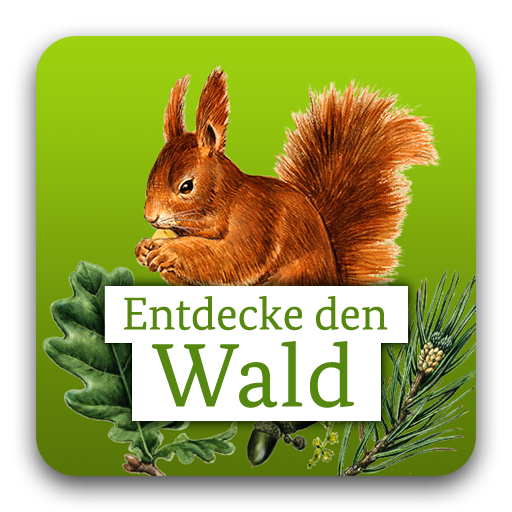 Die kleine Waldfibel