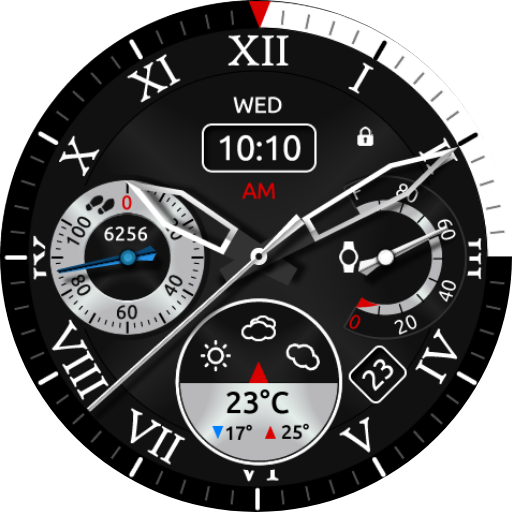 Royal Steel Watch Face