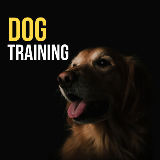 Dog Training Tips : 101