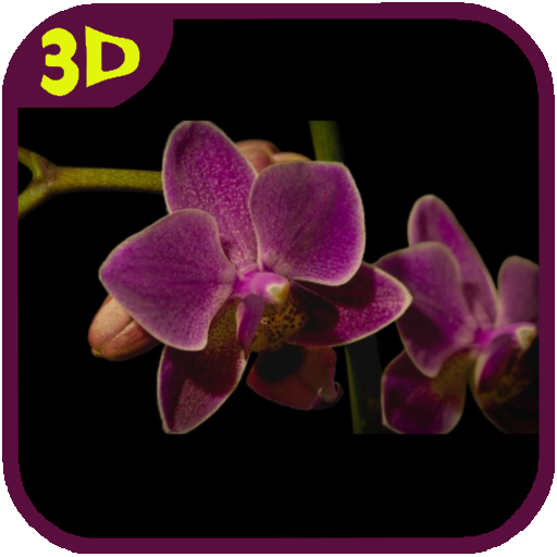 Orchids flowers Live Wallpaper