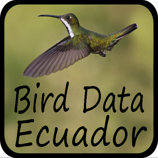 Bird Data - Ecuador