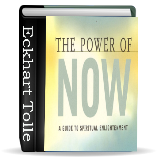 The power of now PDF book