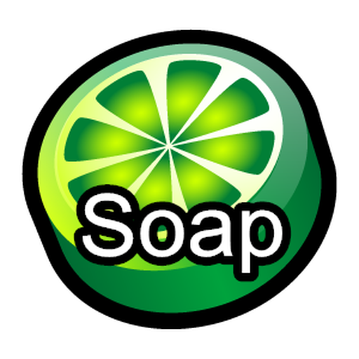 SoapDIY