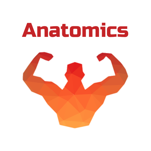 Anatomics