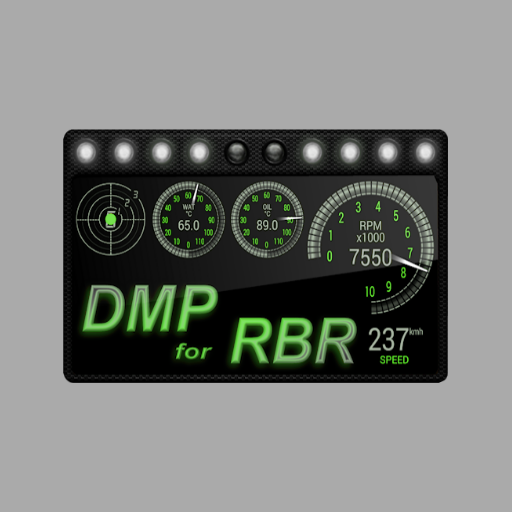 DashMeterPro for RBR