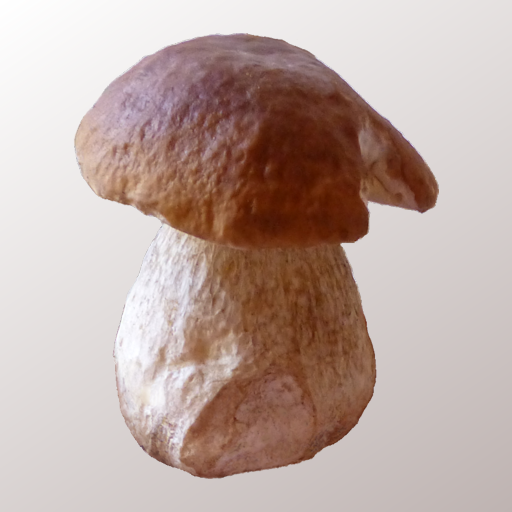 Myco - Mushroom Guide
