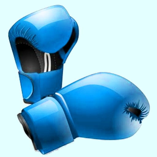 PunchFit: Home Boxing Workouts