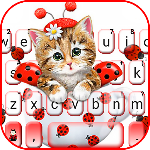 Cute Ladybird Kitten Keyboard 