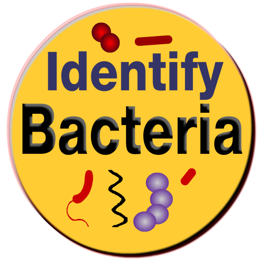 Bacteria Identification Made E