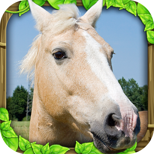 Wild Horse Simulator