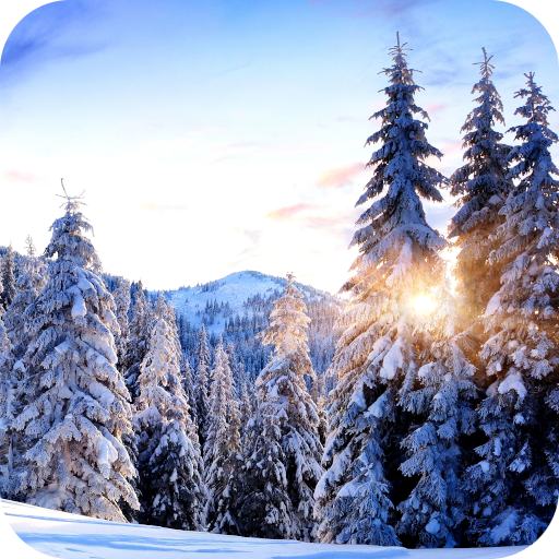 Winter Paradise Live Wallpaper