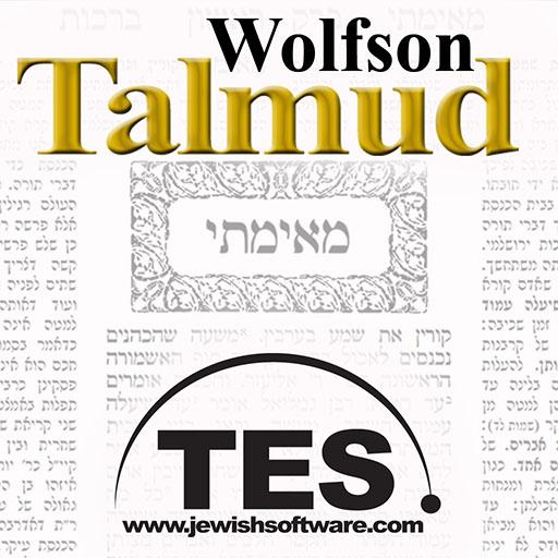 Wolfson Talmud