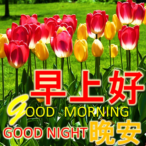 Chinese Good Morning to Night