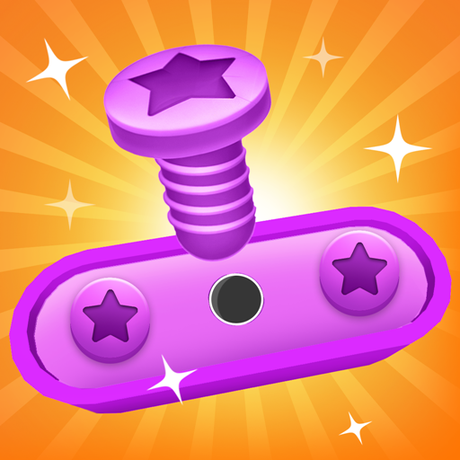 Nuts & Bolts Screw Jam Puzzle