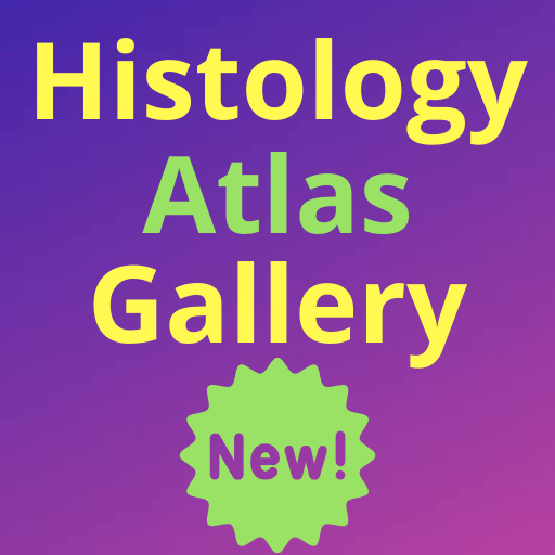 Histology Atlas Gallery 2020