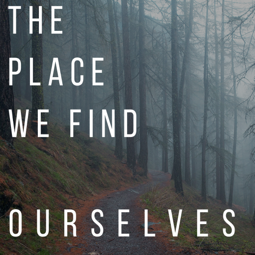 The Place We Find Ourselves