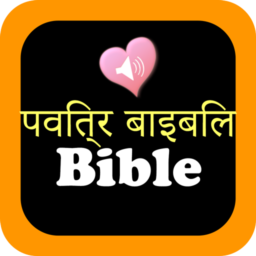 Hindi English Audio Bible Pro